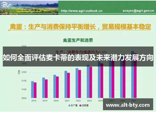 如何全面评估麦卡蒂的表现及未来潜力发展方向