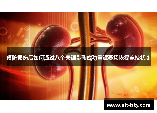 肾脏损伤后如何通过八个关键步骤成功重返赛场恢复竞技状态