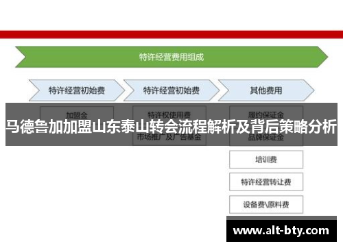 马德鲁加加盟山东泰山转会流程解析及背后策略分析